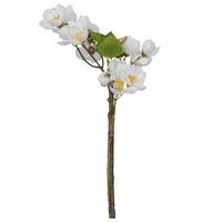 Dekozweig Apfelblütenzweig I Weiss/braun - Weiss/Braun, Konventionell, Kunststoff (35cm) - Mömax