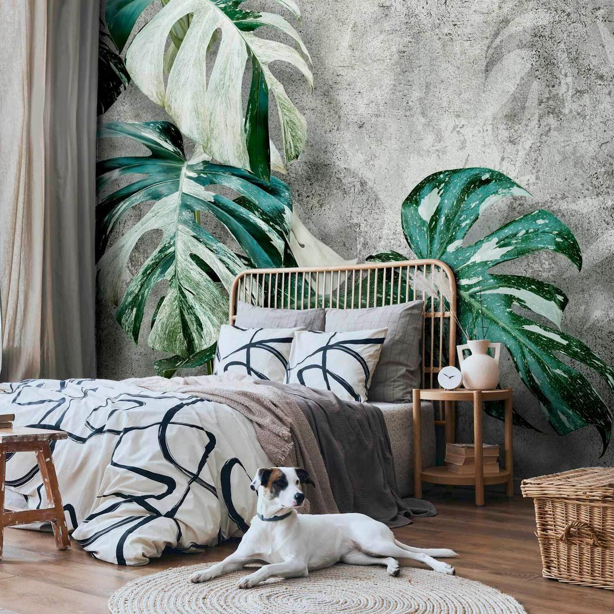 Fototapeta Variegata, 250x175cm - siva/zelena, Trendi, tekstil (250/175cm) - artgeist