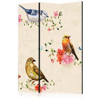 Paravan Bird Song, 3-Delni, Akustičen - barve šampanjca/večbarvno, Basics, umetna masa/tekstil (135/172/3cm) - artgeist