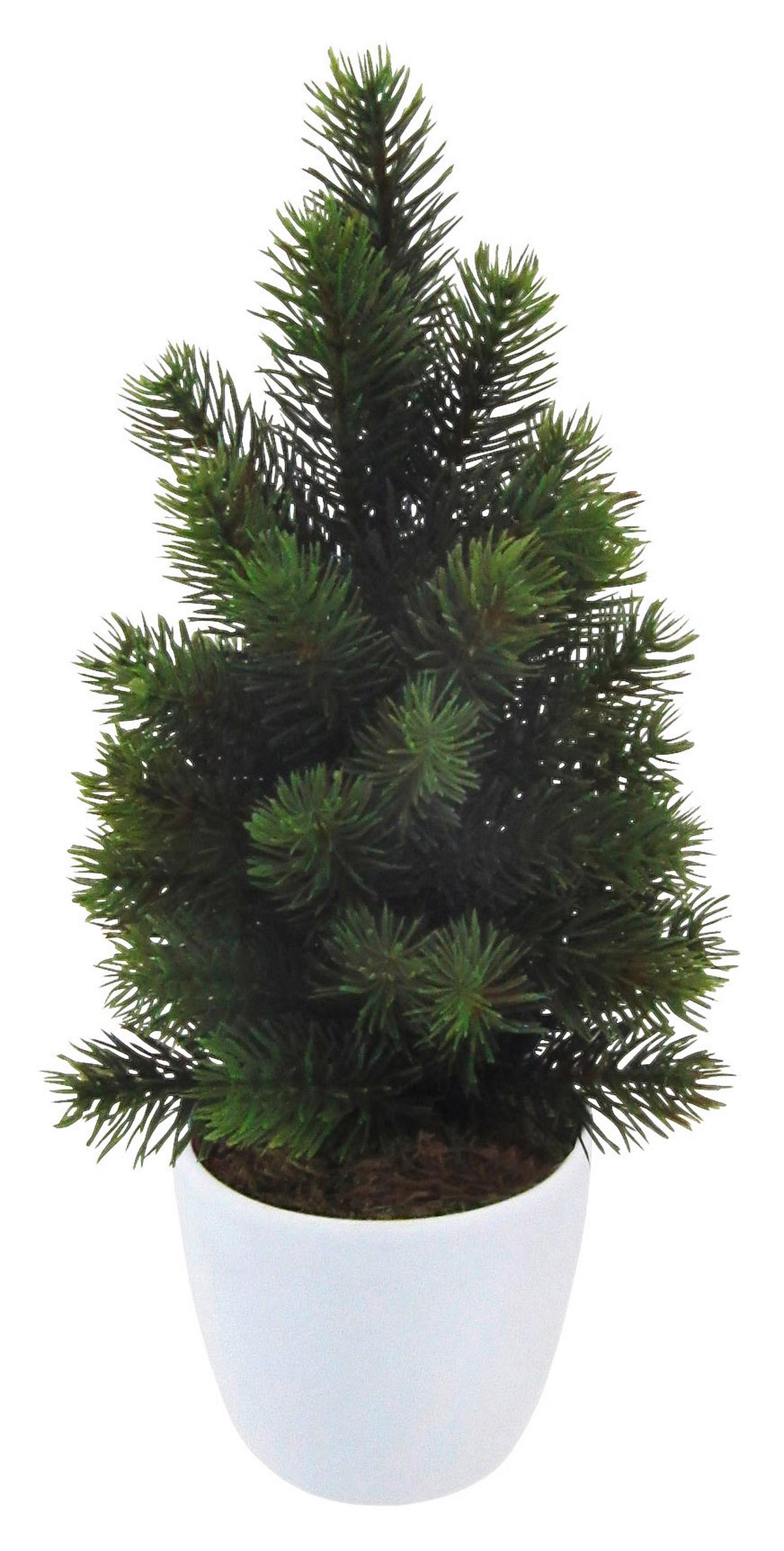Mini Umetna Jelka Tannenbäumchen I - zelena/travnato zelena, kovina/umetna masa (38cm) - Mömax