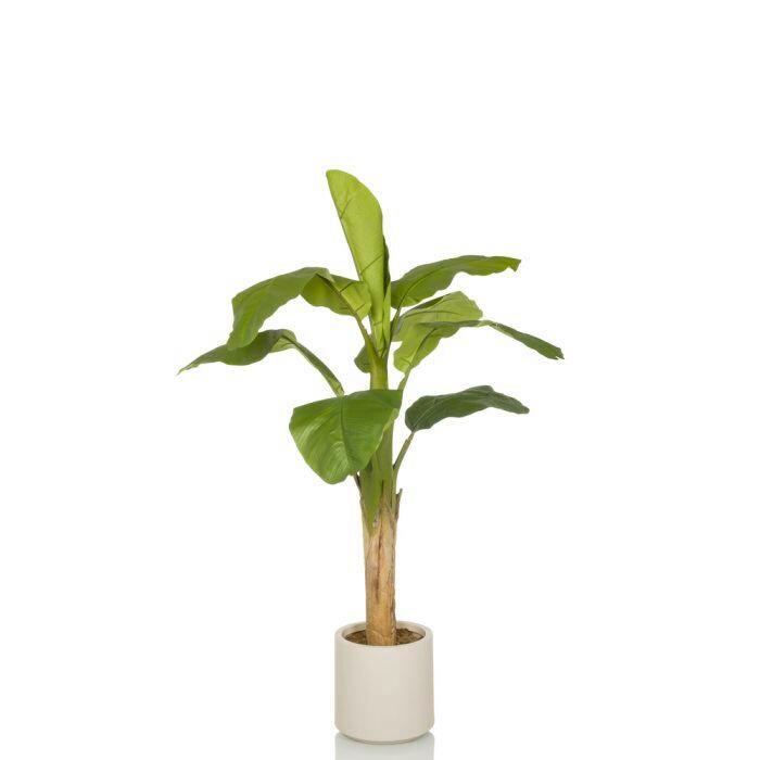 Umetna Rastlina Banana I - barve hrasta/zelena, Moderno, umetna masa (60/150/60cm) - MID.YOU
