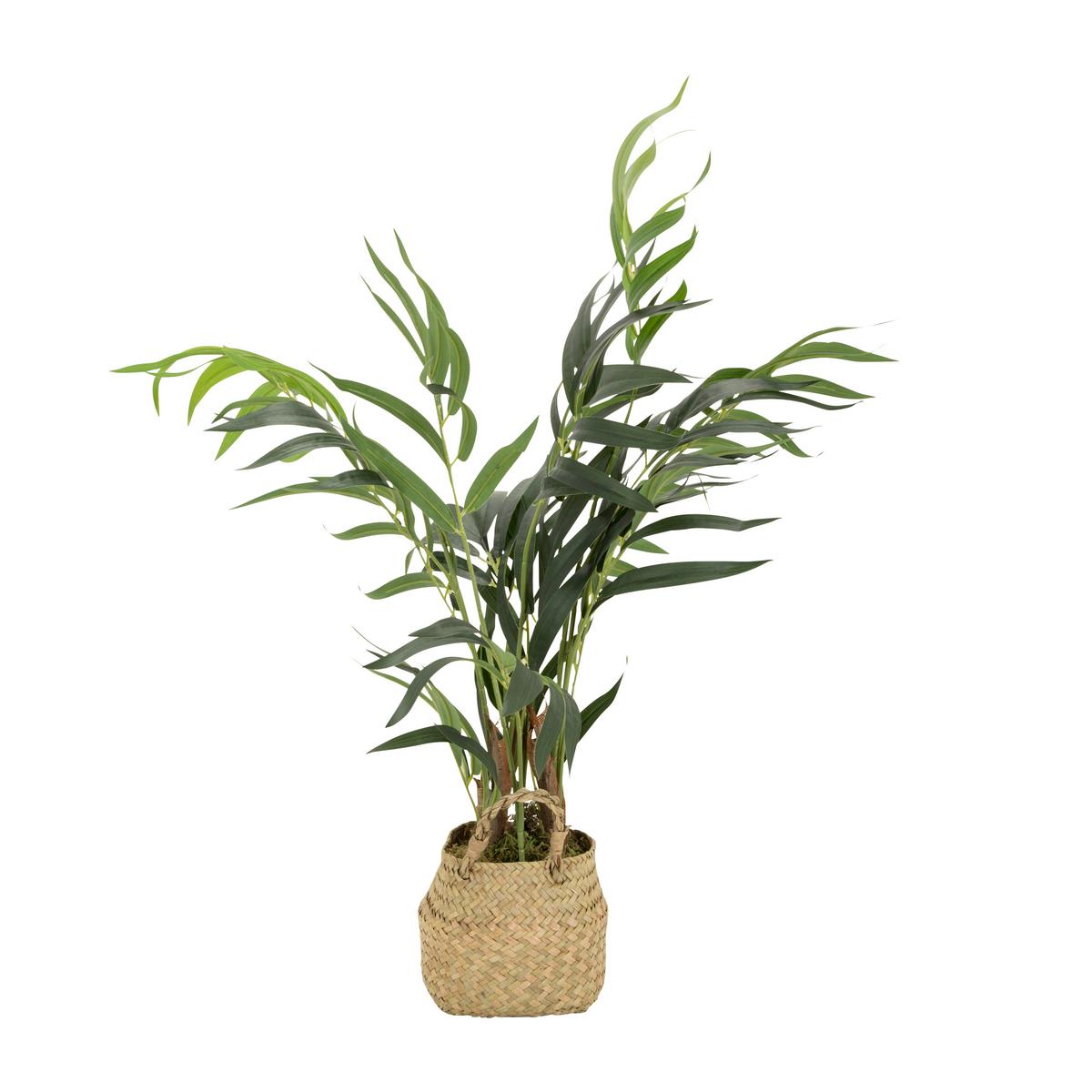 Umetna Rastlina Chamaedorea - svetlo rjava/zelena, Basics, umetna masa/tekstil (50/65/50cm) - MID.YOU