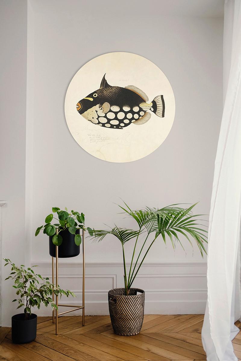 METALLBILD FISH BLACK - Basics, Metall (100/0.3cm)