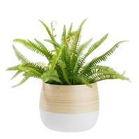 Übertopf Naturelle Ø ca. 22cm - Naturfarben/Weiß, KONVENTIONELL, Naturmaterialien (22/18,5cm) - Zandiara