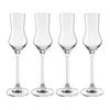 SET MED SNAPSGLAS KATARINA - klar, Klassisk, glas - Mömax
