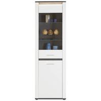 Vitrina Alassio - barve kroma/črna, Moderno, kovina/umetna masa (61,7/200/37,5cm) - Premium Living