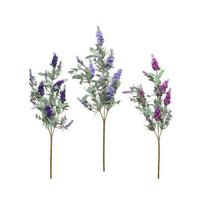 Floare decorativă Lavi - Basics (11/23/68cm)