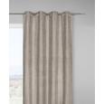 Zavesa Z Obročki Velours -top- - siva, Konvencionalno, tekstil (140/245cm) - Mömax modern living Zavesa Z Obročki Velours -top- - siva, Konvencionalno, tekstil (140/245cm) - Mömax modern living