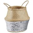 Cvetlični Lonček Dalilah - večbarvno/srebrna, umetna masa/ostali naravni materiali (35/35cm) - Modern Living Cvetlični Lonček Dalilah - večbarvno/srebrna, umetna masa/ostali naravni materiali (35/35cm) - Modern Living