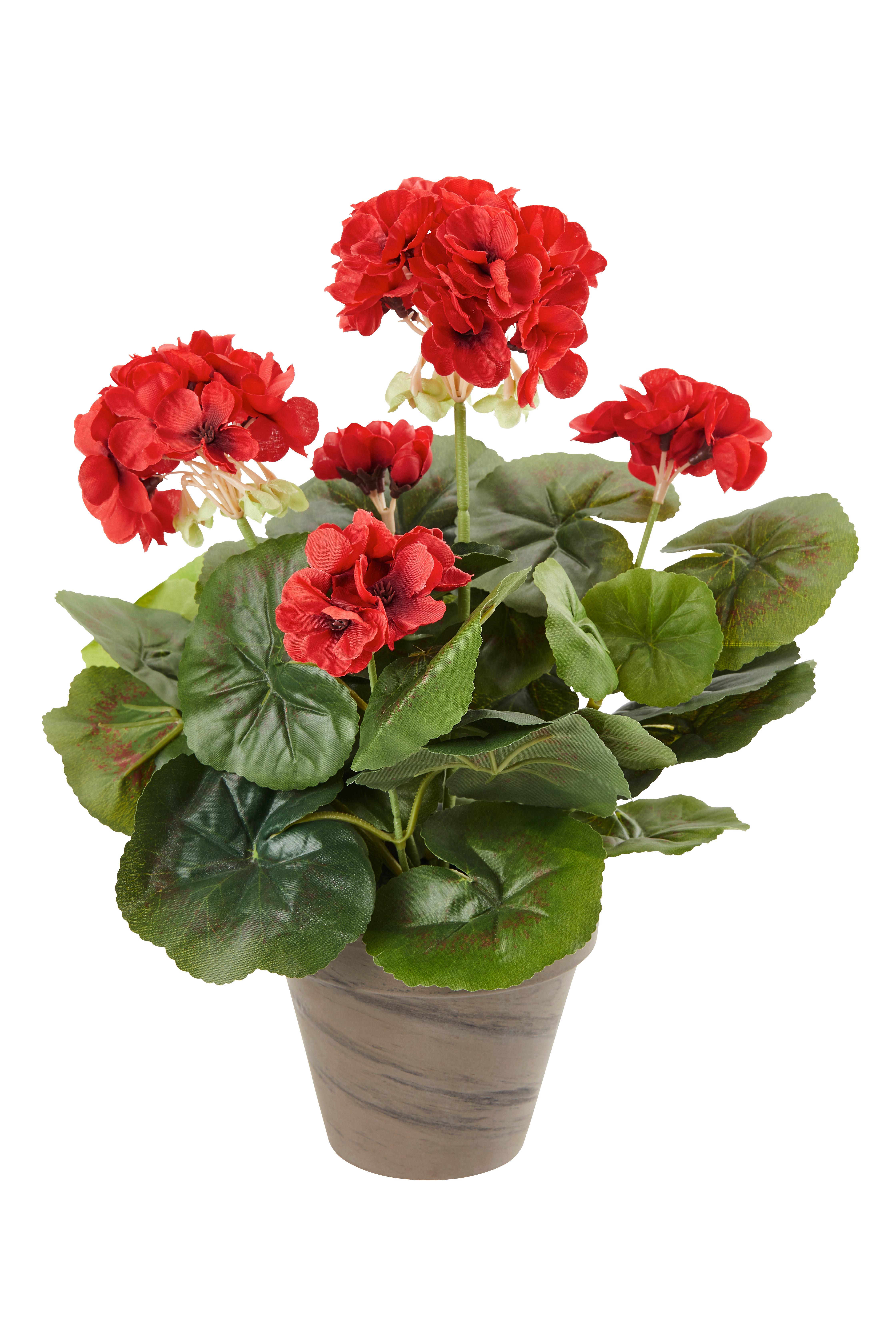 Umetna Rastlina Greta - Konvencionalno (20/34cm) - Mömax
