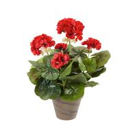 Umetna Rastlina Greta - Konvencionalno (20/34cm) - Mömax
