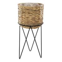 Mască pentru ghiveci Hya L - Basics (24,7/53,2cm)