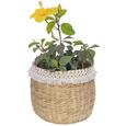 Vas Ornamental Pentru Ghiveci Jimmy - alb/culoare natur, lemn (28/24cm) - Zandiara Vas Ornamental Pentru Ghiveci Jimmy - alb/culoare natur, lemn (28/24cm) - Zandiara