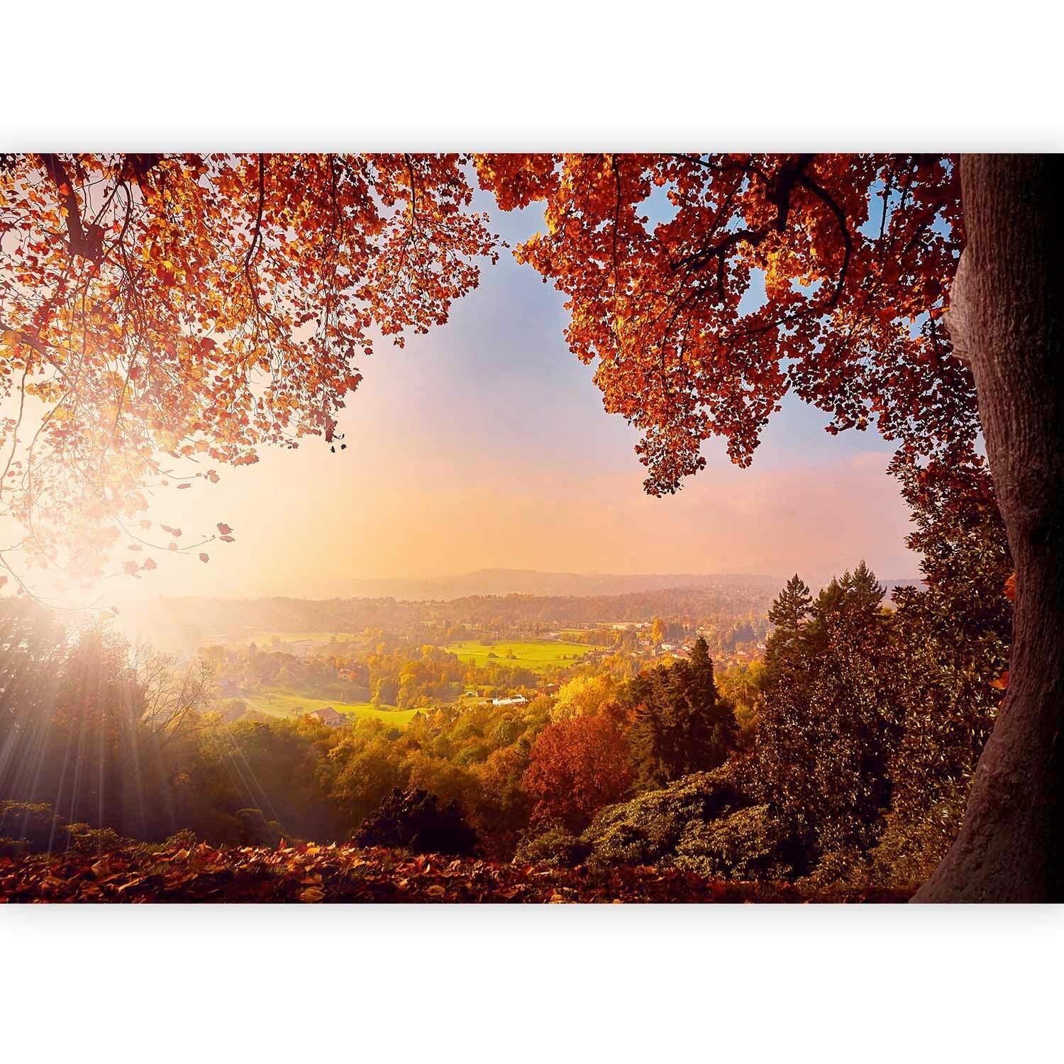 Fototapete Autumn Delight Multicolor ca. 300x210cm - Multicolor, Basics, Textil (300/210cm) - artgeist