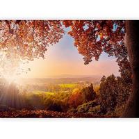 Fototapete Autumn Delight Multicolor ca. 300x210cm - Multicolor, Basics, Textil (300/210cm) - artgeist