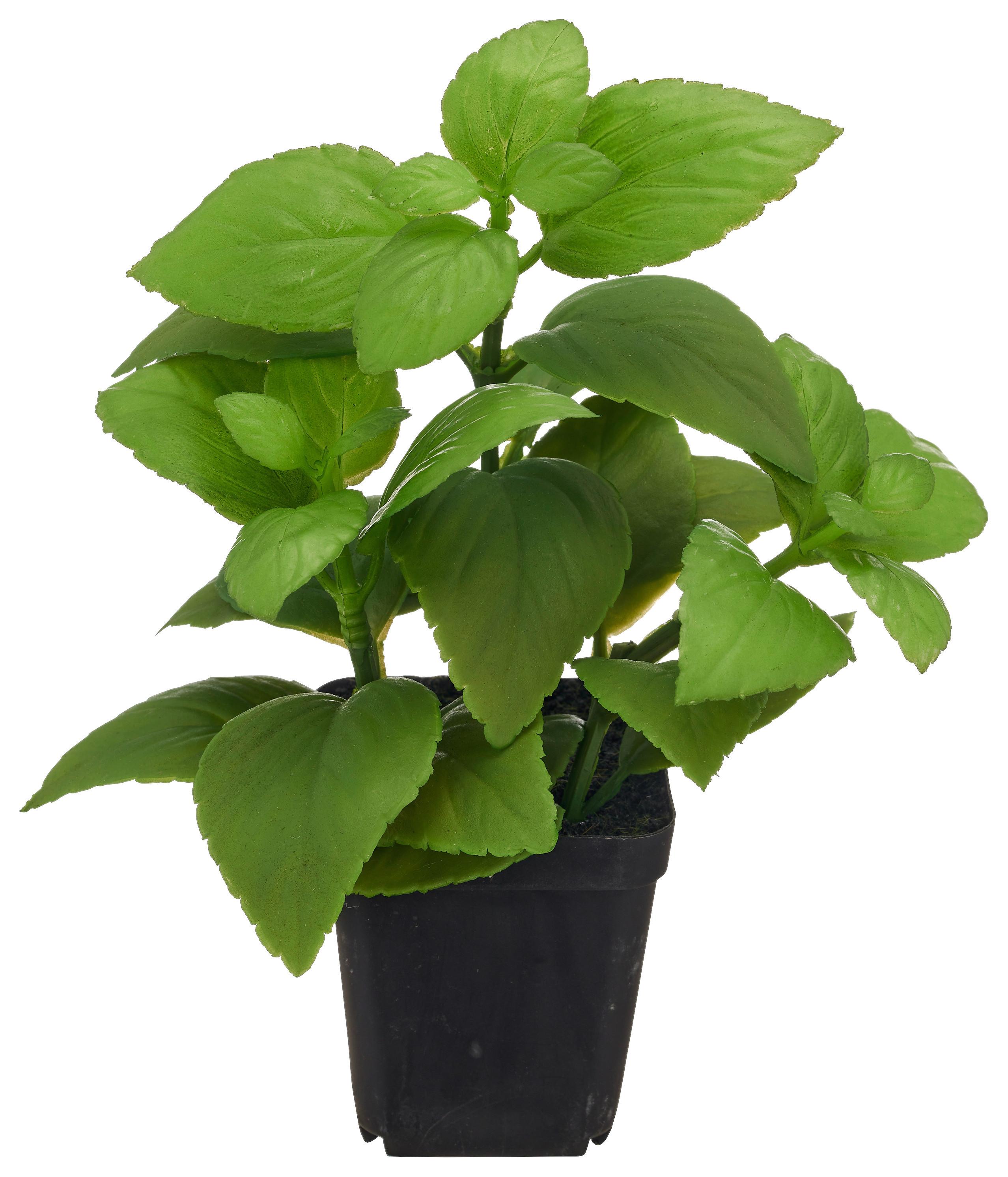 Kunstpflanze Basilikum II Grün ca. 25cm - Schwarz/Grün, Basics, Kunststoff/Metall (25cm) - Mömax