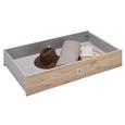 Bettschubkasten in Weiß/Eiche - Eichefarben/Weiß, Holz/Holzwerkstoff (100/16/60cm) - MODERN LIVING