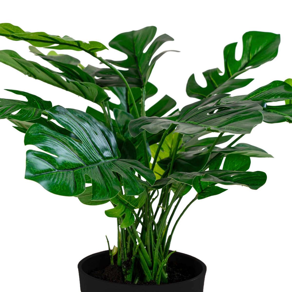Kunstpflanze Monstera Grün - Grün, Design (40/45/40cm)