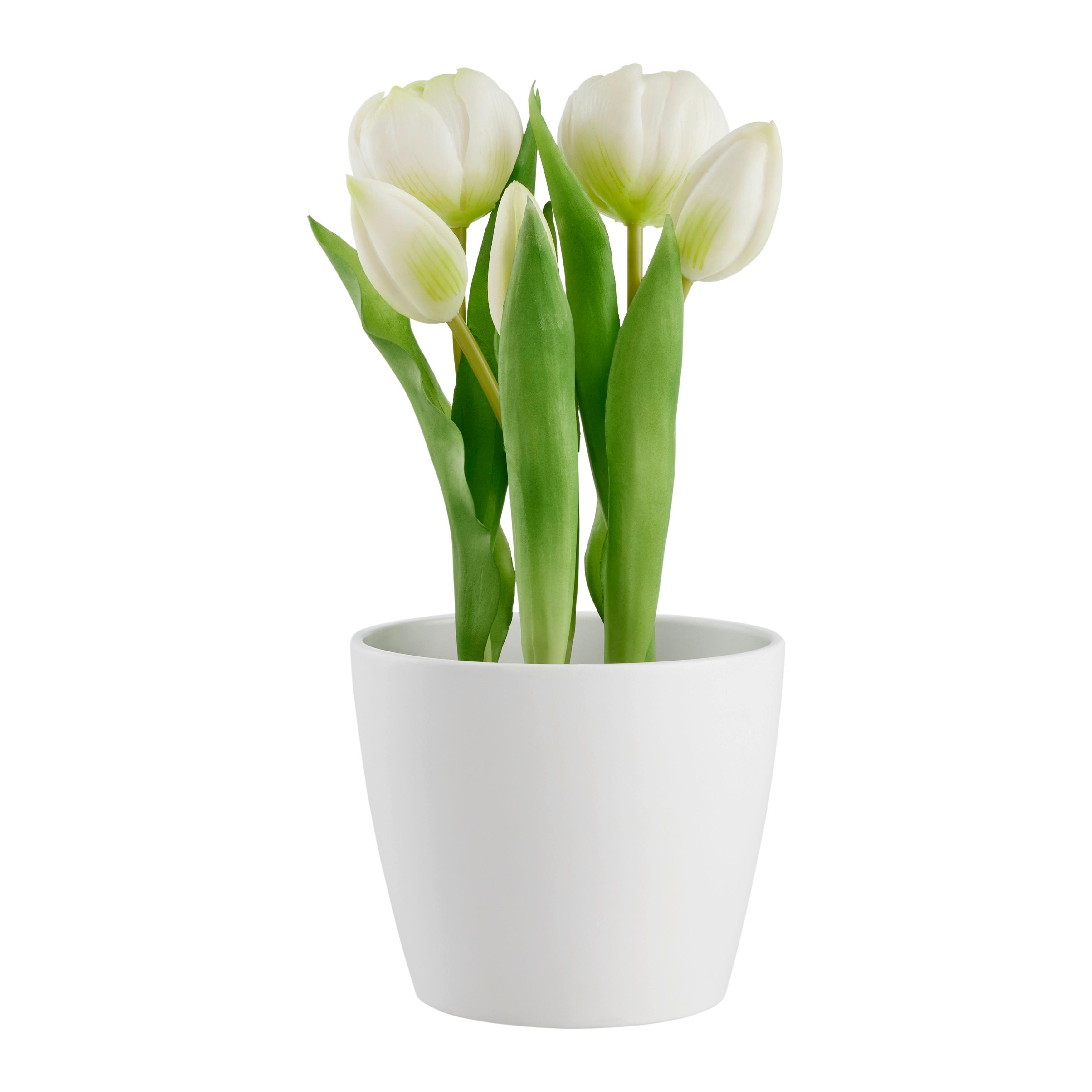 Kunstpflanze Tulpe I in Grün/Weiß - Schwarz/Weiß, Basics, Kunststoff (25cm) - Modern Living