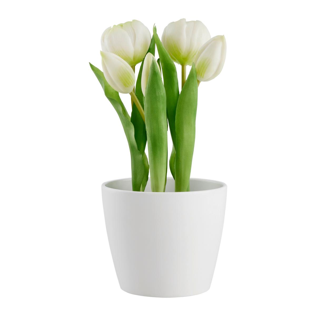 Kunstpflanze Tulpe I in Grün/Weiß - Schwarz/Weiß, Basics, Kunststoff (25cm) - Modern Living