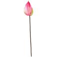 Kunstblume Sally in Rosa - Rosa/Grün, ROMANTIK / LANDHAUS, Kunststoff (76cm) Kunstblume Sally in Rosa - Rosa/Grün, ROMANTIK / LANDHAUS, Kunststoff (76cm)