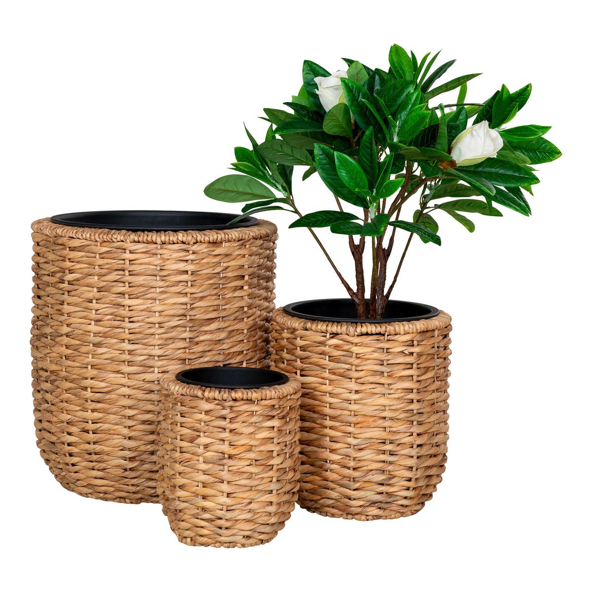 Übertopf-Set Hanoi Planters Naturfarben, 3-teilig - Naturfarben, Design, Holz (49/52/49cm)