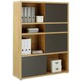 Regal Eichefarben - Eichefarben/Anthrazit, MODERN, Holzwerkstoff/Kunststoff (116,6/156,3/37cm) - Premium Living Regal Eichefarben - Eichefarben/Anthrazit, MODERN, Holzwerkstoff/Kunststoff (116,6/156,3/37cm) - Premium Living