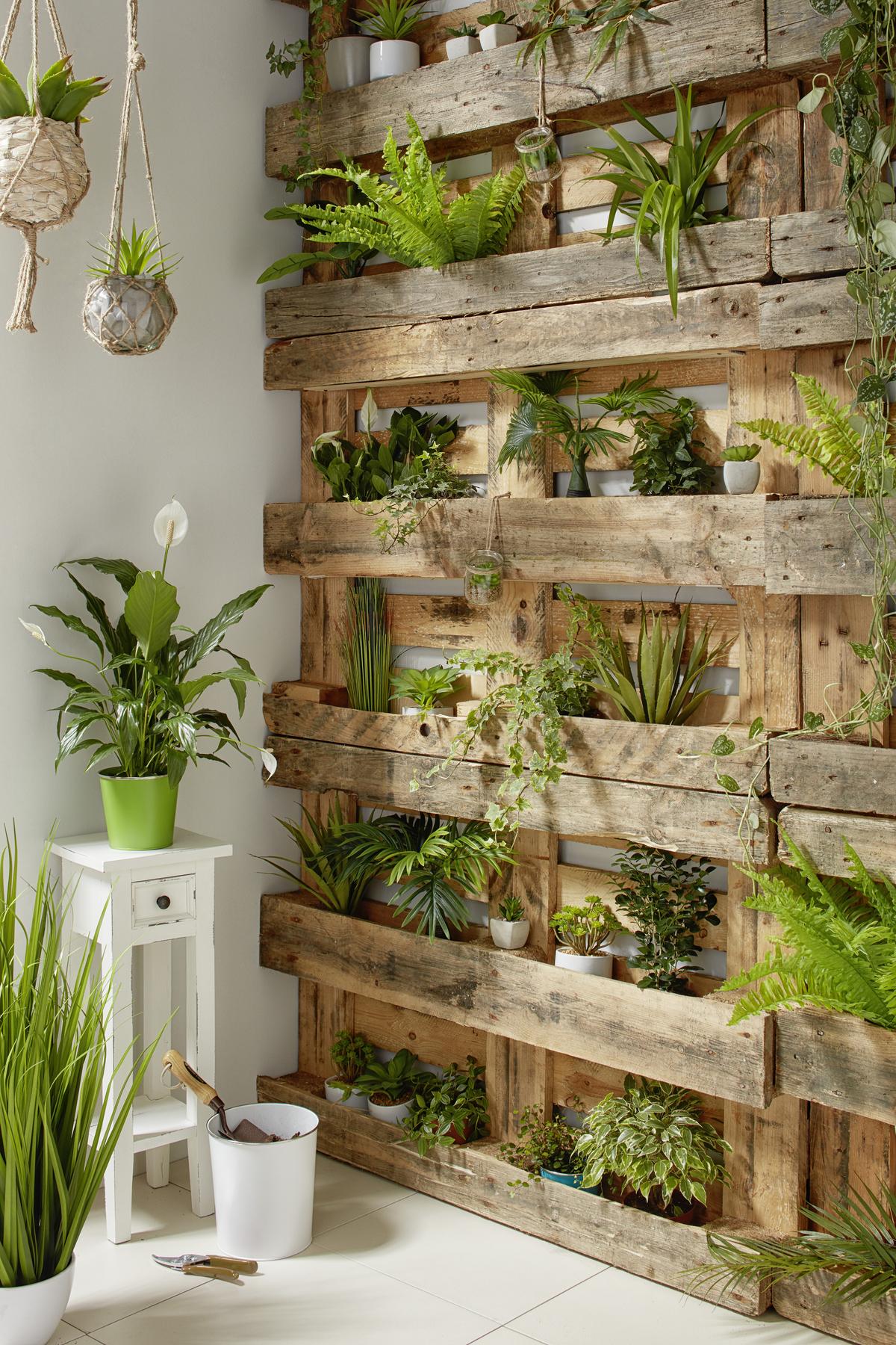 Plantă artificială Sukkulente - verde, Lifestyle, plastic (7-9cm) - Modern Living
