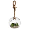 Dekohänger Kelly aus Glas - Transparent/Naturfarben, ROMANTIK / LANDHAUS, Glas/Textil (13/12/12,5cm) Dekohänger Kelly aus Glas - Transparent/Naturfarben, ROMANTIK / LANDHAUS, Glas/Textil (13/12/12,5cm)