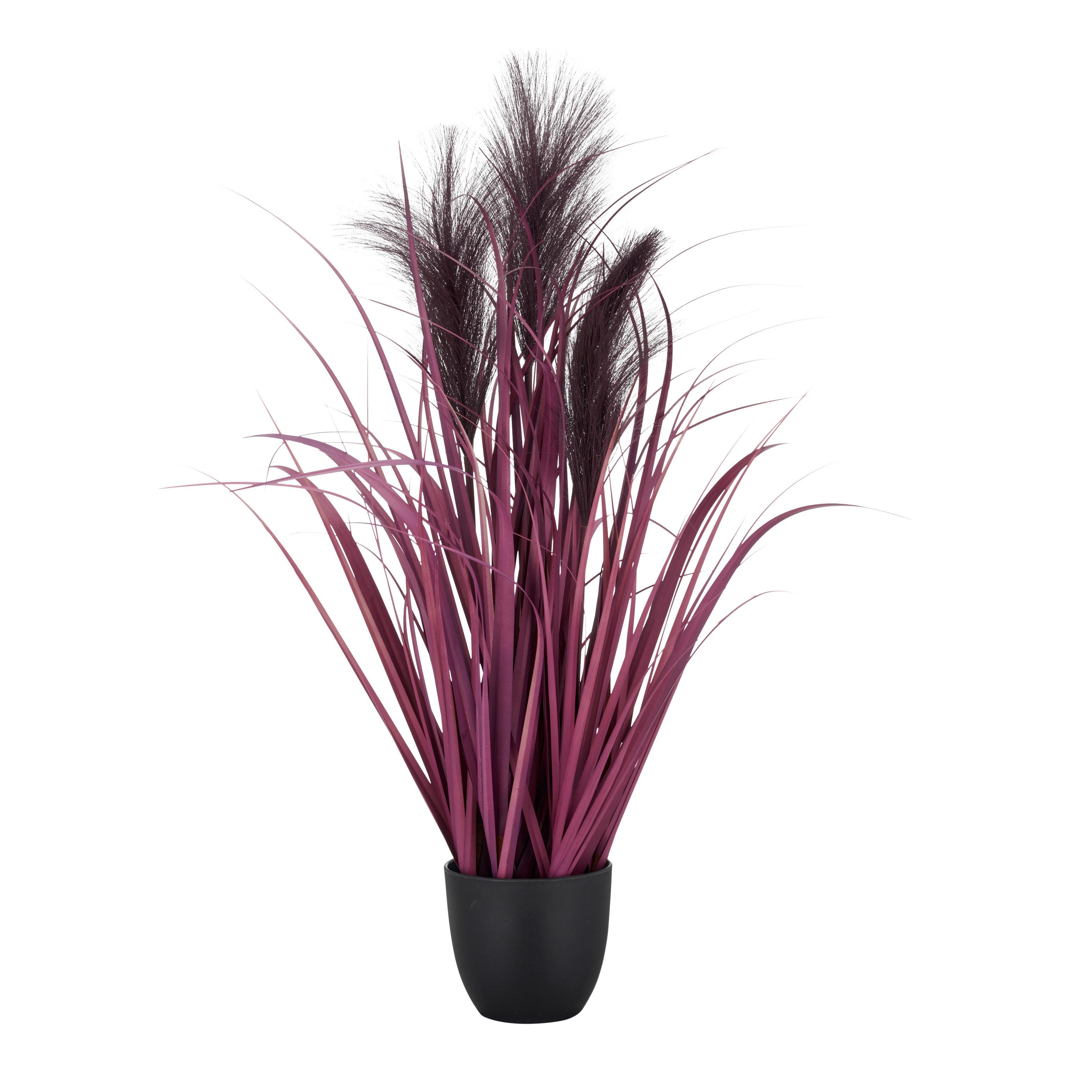 Kunstpflanze Pampasgras I Lila/Schwarz - Lila/Schwarz, Basics, Kunststoff (10,5/65cm) - Mömax