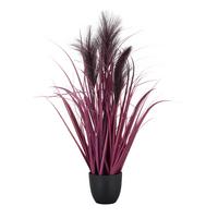 Műnövény Pampasgras - lila/fekete, Basics, műanyag (10,5/65cm) - Mömax