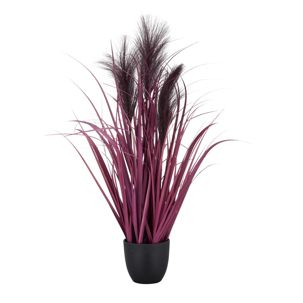 Műnövény Pampasgras - lila/fekete, Basics, műanyag (10,5/65cm) - Mömax