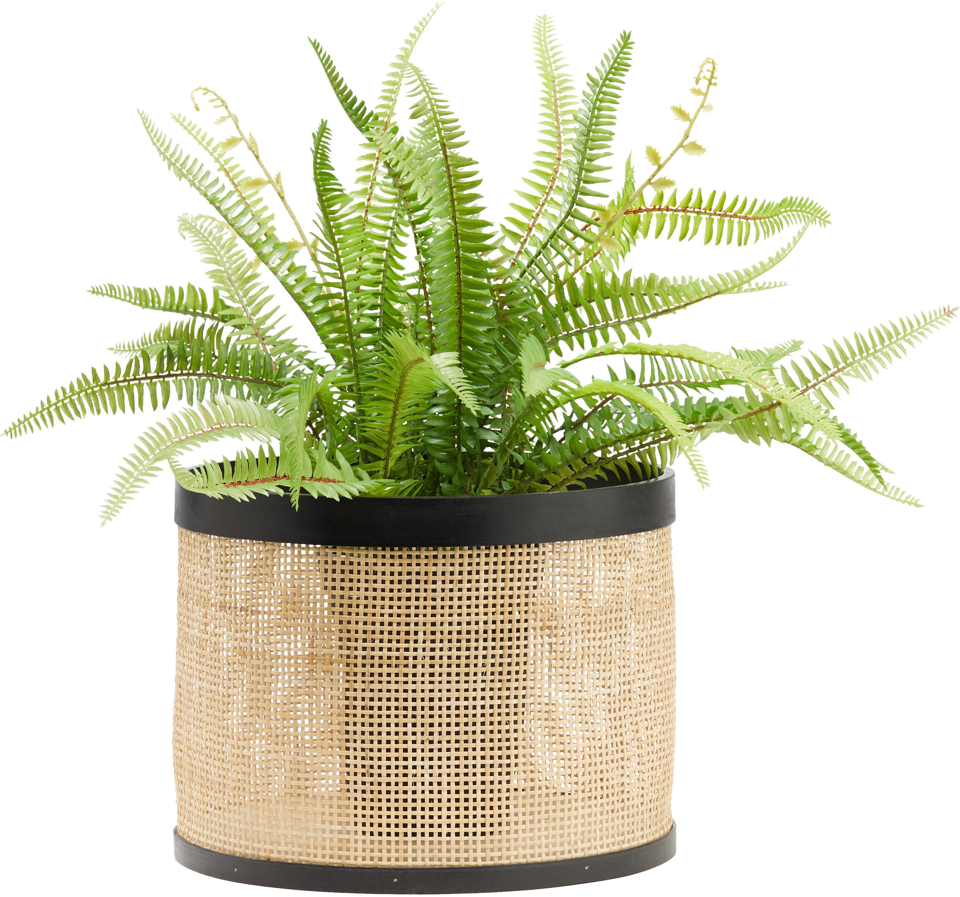 Übertopf Wood Aus Rattan - Schwarz/Naturfarben, Lifestyle, Holz (27/20cm) - Zandiara