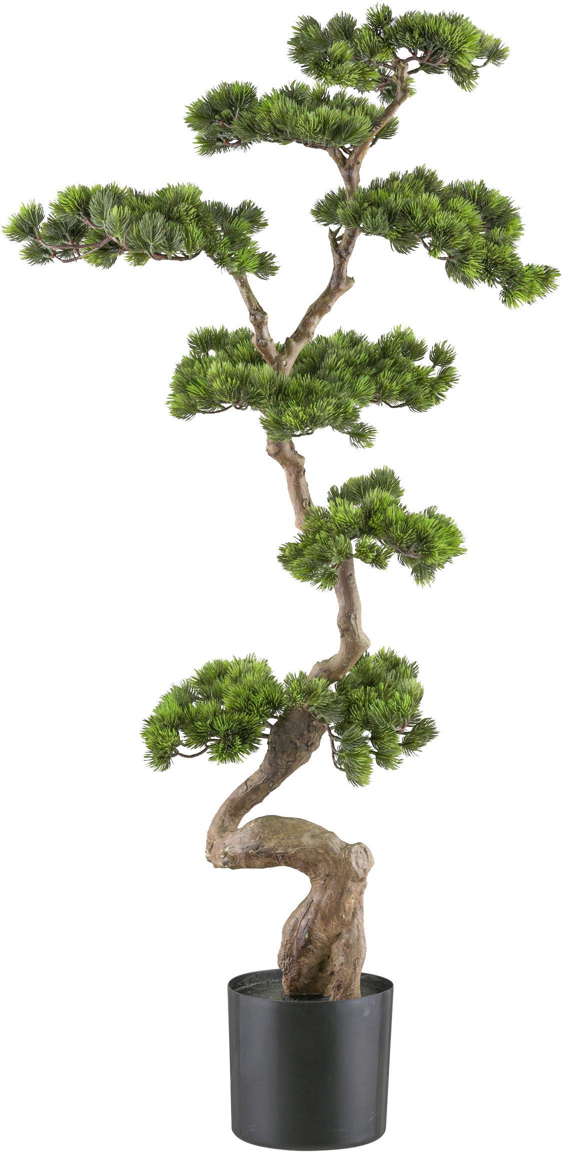 Kunstpflanze Bonsai Grün - Schwarz/Braun, Design, Kunststoff (125cm) - P & B