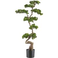 Kunstpflanze Bonsai Grün - Schwarz/Braun, Design, Kunststoff (125cm) - P & B