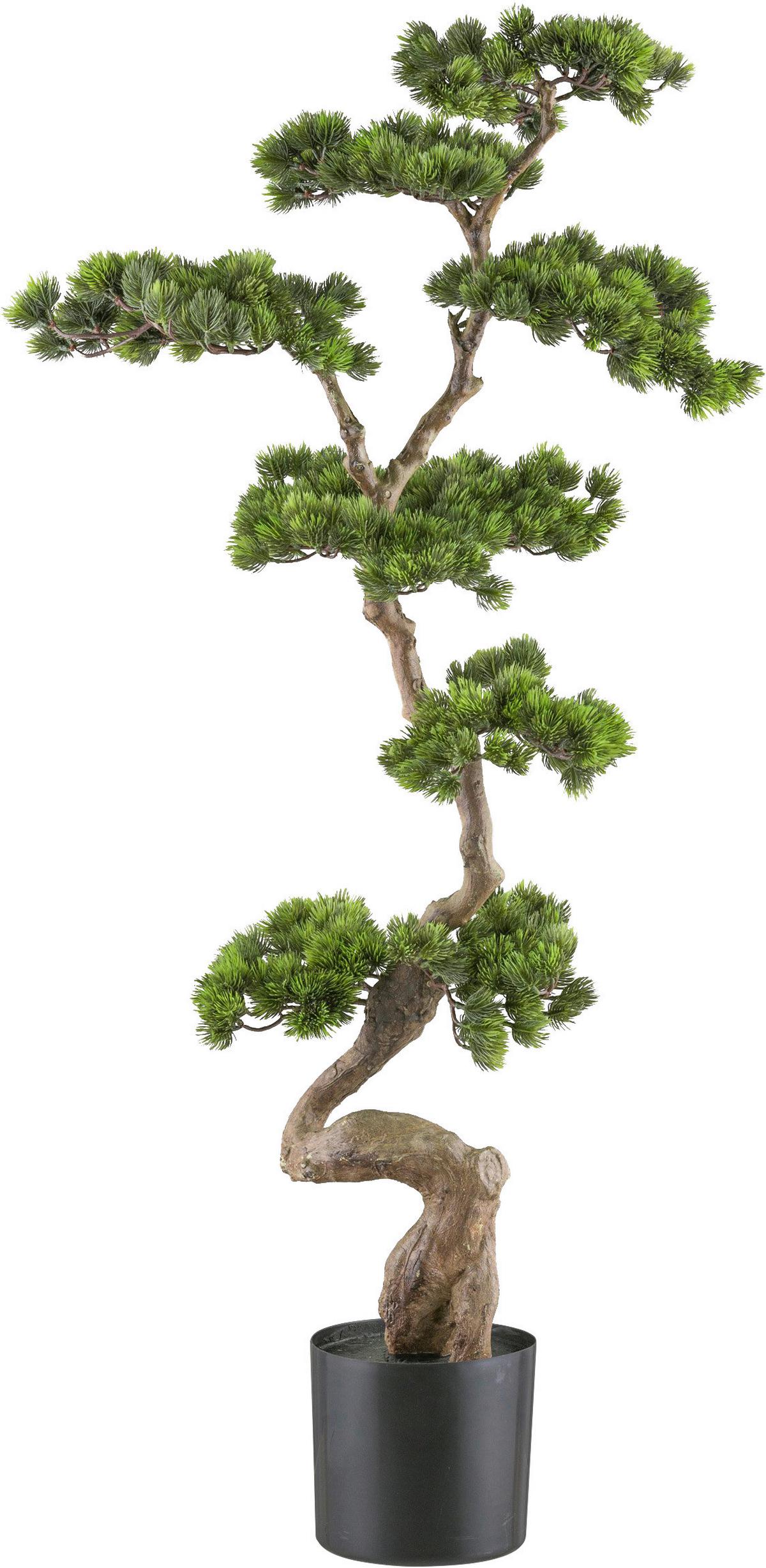 Kunstpflanze Bonsai Grün - Schwarz/Braun, Design, Kunststoff (125cm) - P & B