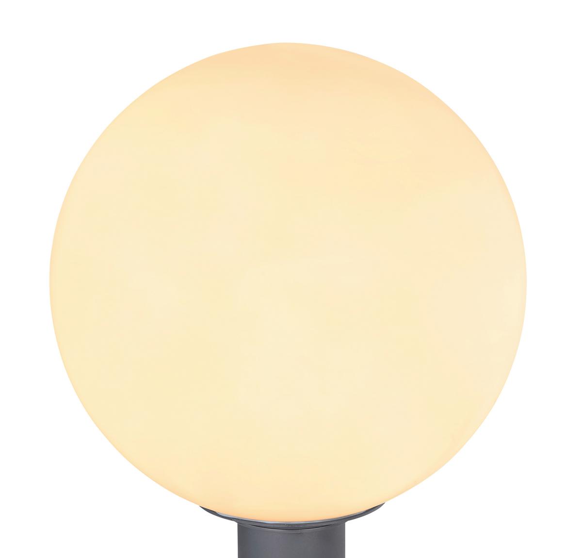 Außenleuchte Ossy in Anthrazit max. 15 Watt - Anthrazit/Opal, Basics, Glas/Metall (25/38cm) - Globo