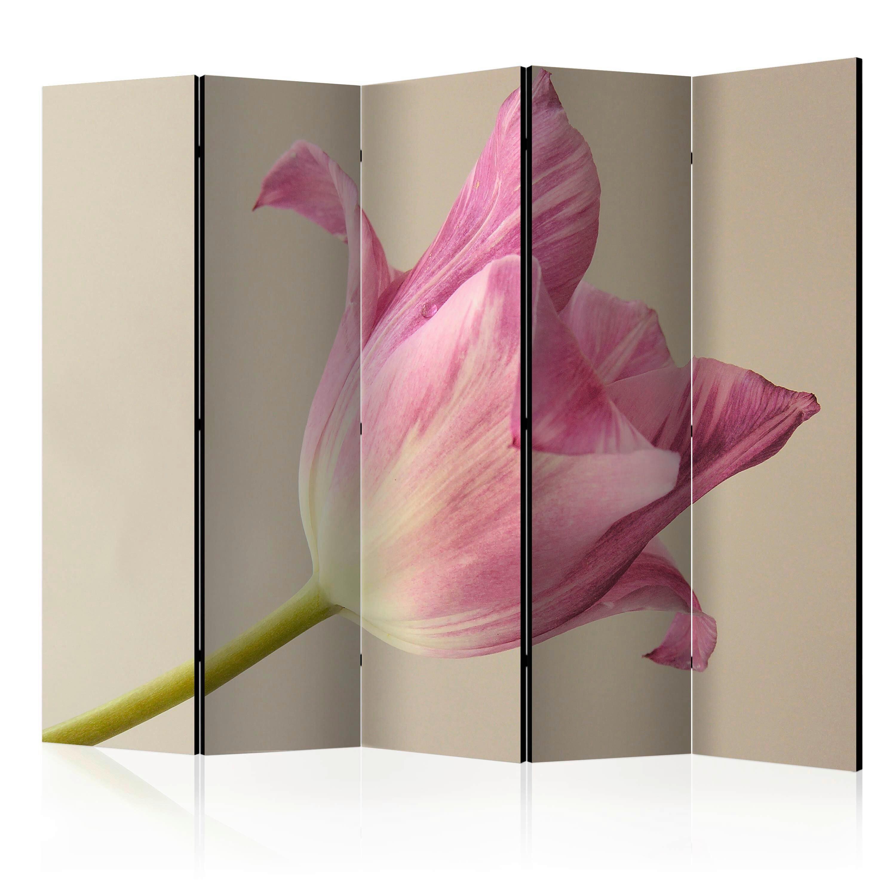 Paravan Pink Tulip I, 5-Delni, Dvostranski - pink/bež, Basics, tekstil/les (225/172/3cm) - artgeist