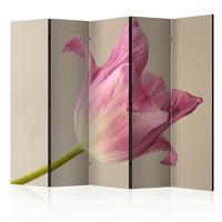 Paravan Pink Tulip I, 5-Delni, Dvostranski - pink/bež, Basics, tekstil/les (225/172/3cm) - artgeist