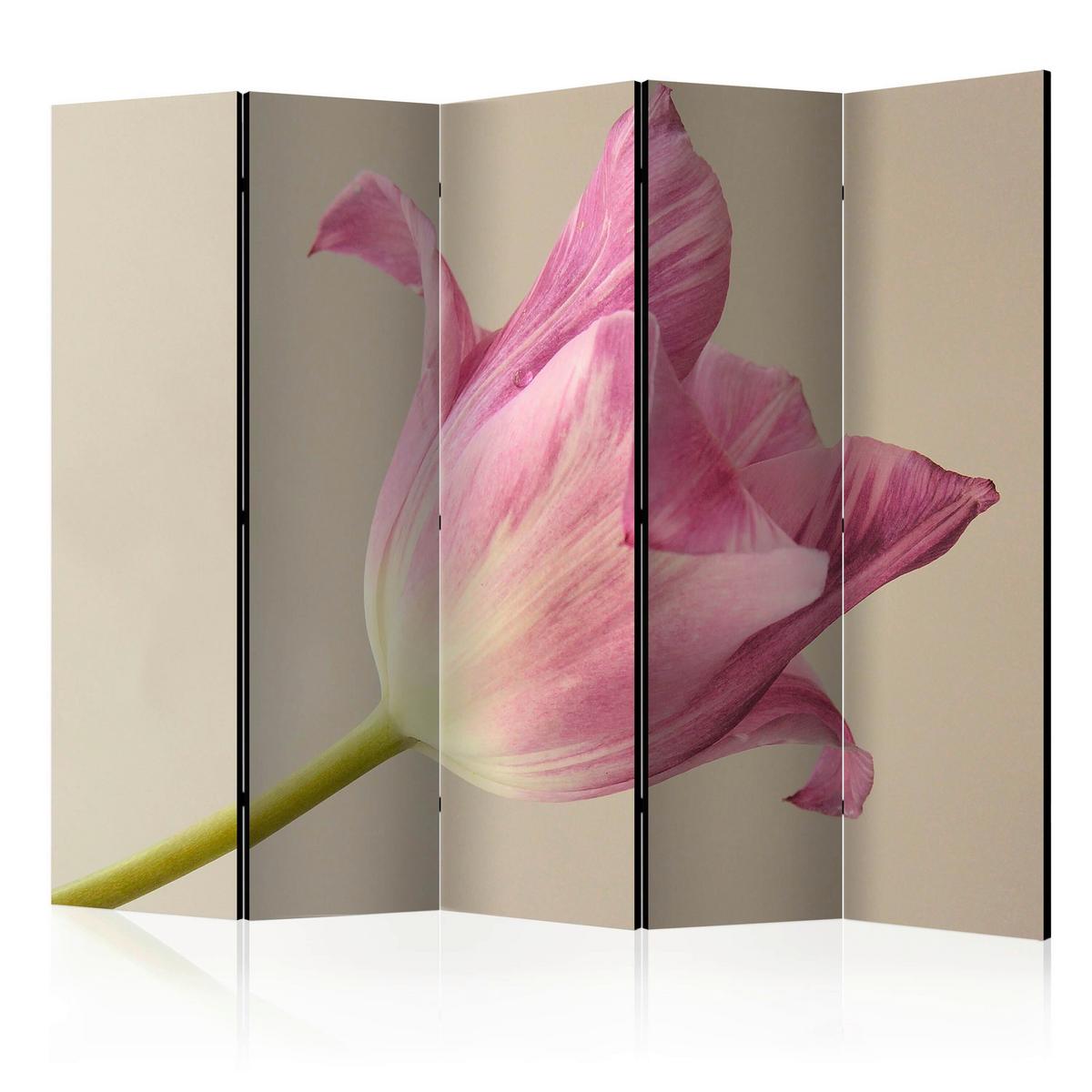 Paravan Pink Tulip I, 5-Delni, Dvostranski - pink/bež, Basics, tekstil/les (225/172/3cm) - artgeist