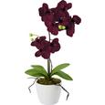Umetna Rastlina Orchidee - lila/roza, kovina/umetna masa (11cm) - Mömax modern living Umetna Rastlina Orchidee - lila/roza, kovina/umetna masa (11cm) - Mömax modern living