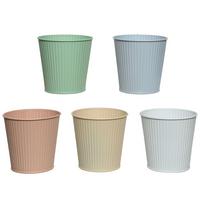 Saksija Za Cveće 10,6cm Willi - Osnovno (11/10,6cm)