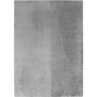 Tkana Preproga Joy, Srebrna, 140x200cm - srebrne barve, Design, tekstil (140/200cm)