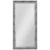 Wandspiegel Silberfarben - Silberfarben, Lifestyle, Glas/Holzwerkstoff (40/80cm) - Mömax