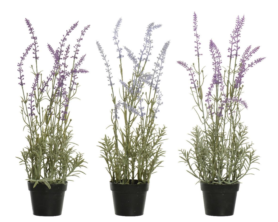 Plantă artificială Lava - multicolor, Basics, plastic (14,00/14,00/46,00cm)