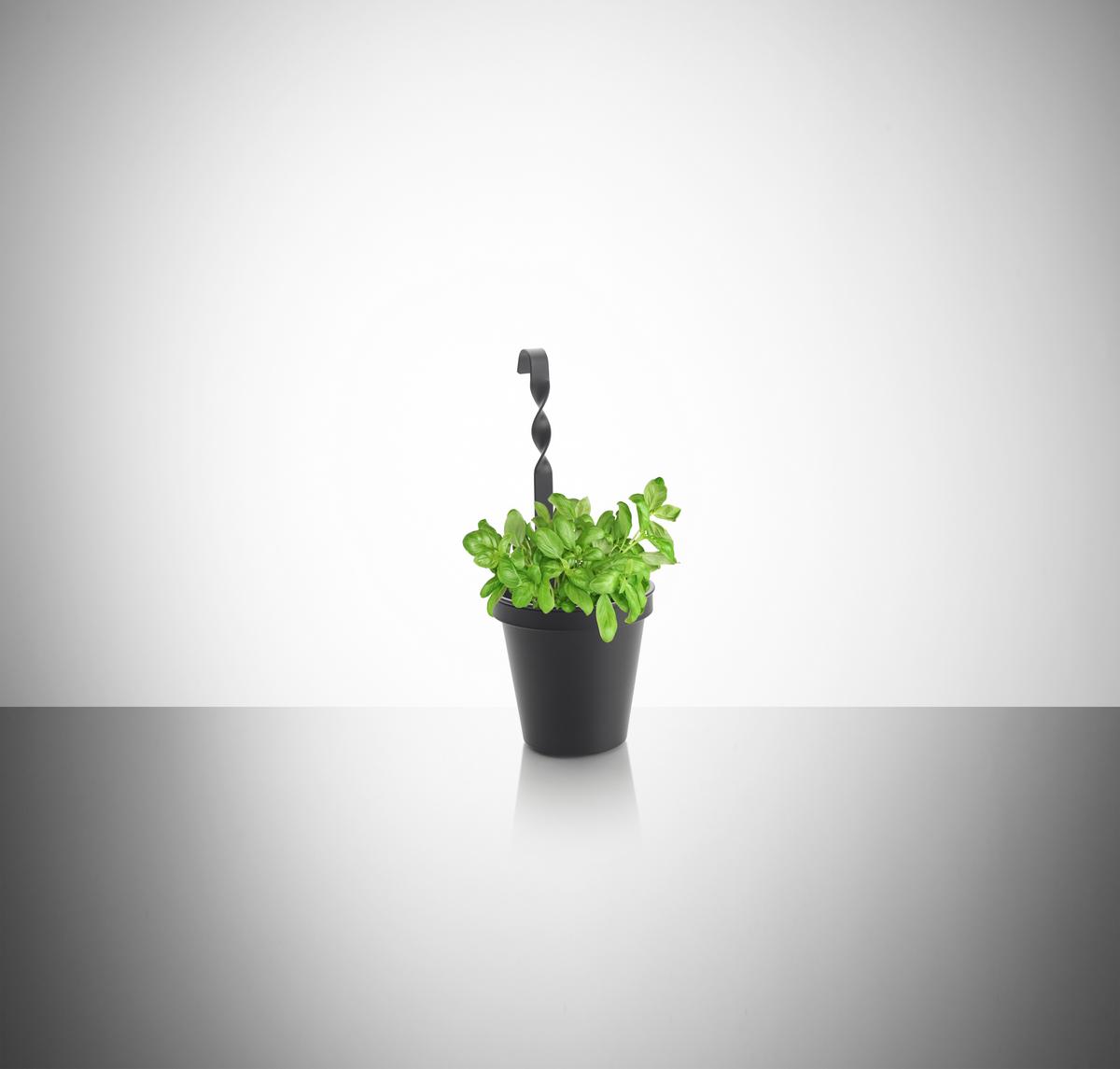 Ghiveci pentru plante aromate Chester - negru, metal (12/28,6cm) - Premium Living