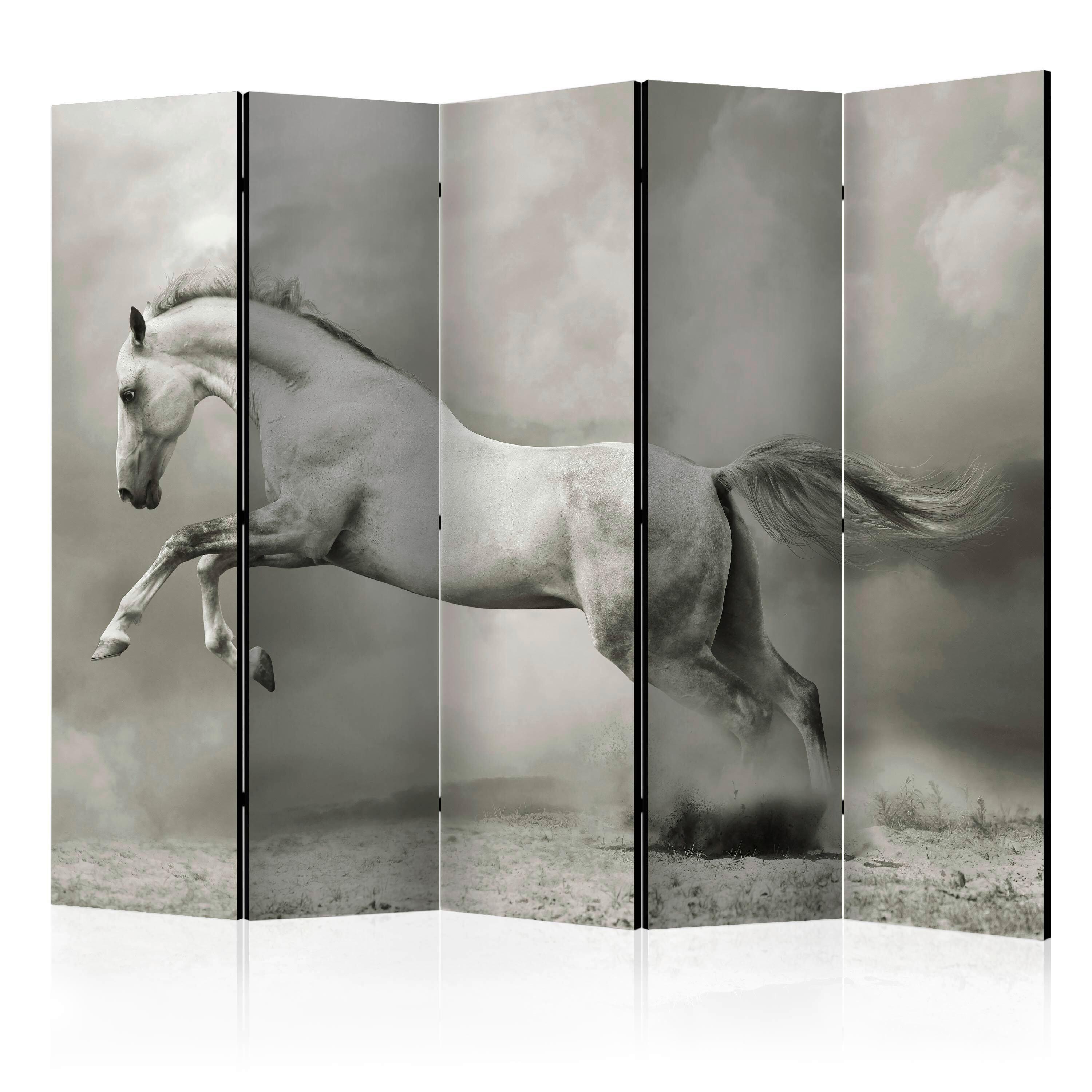 Paravan Wild Stallion I, 5-Delni, Dvostranski - bela/bež, Basics, tekstil/les (225/172/3cm) - artgeist
