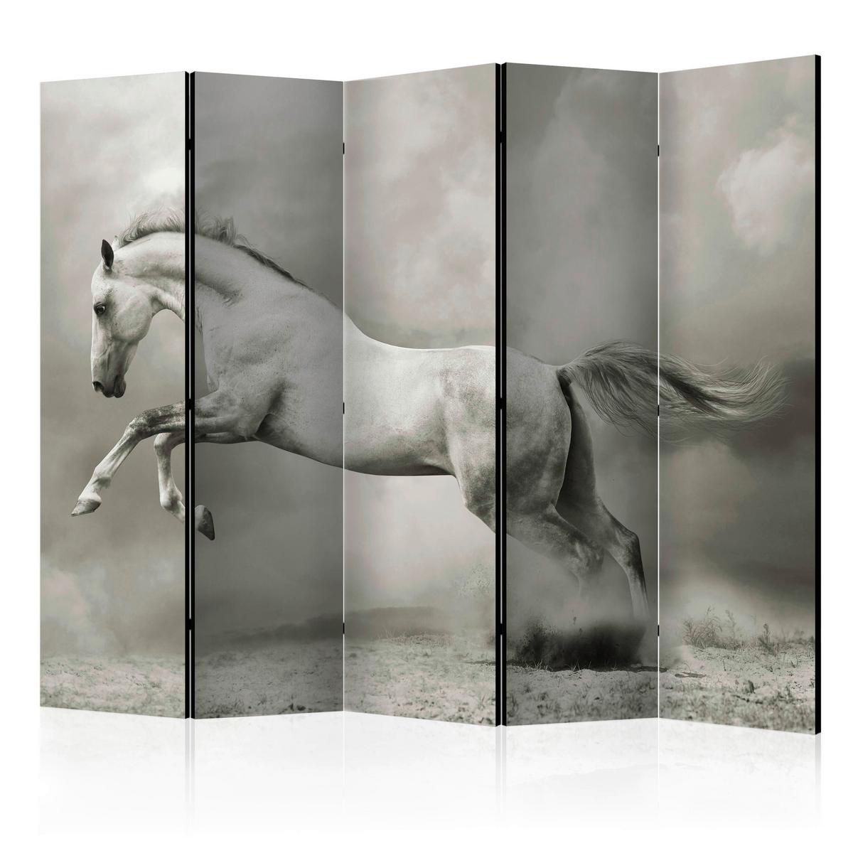 Paravan Wild Stallion I, 5-Delni, Dvostranski - bela/bež, Basics, tekstil/les (225/172/3cm) - artgeist