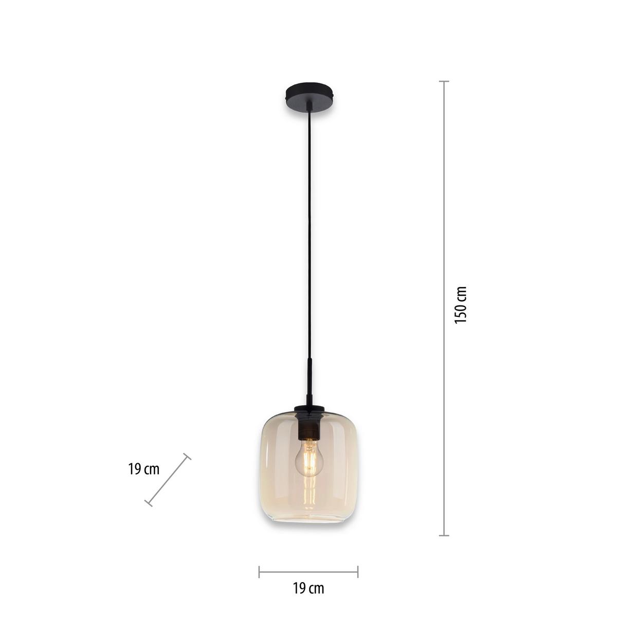 Hängeleuchte Shitake Schwarz max. 10 Watt - Schwarz, Design, Kunststoff/Metall (19/19/150cm) - Paul Neuhaus