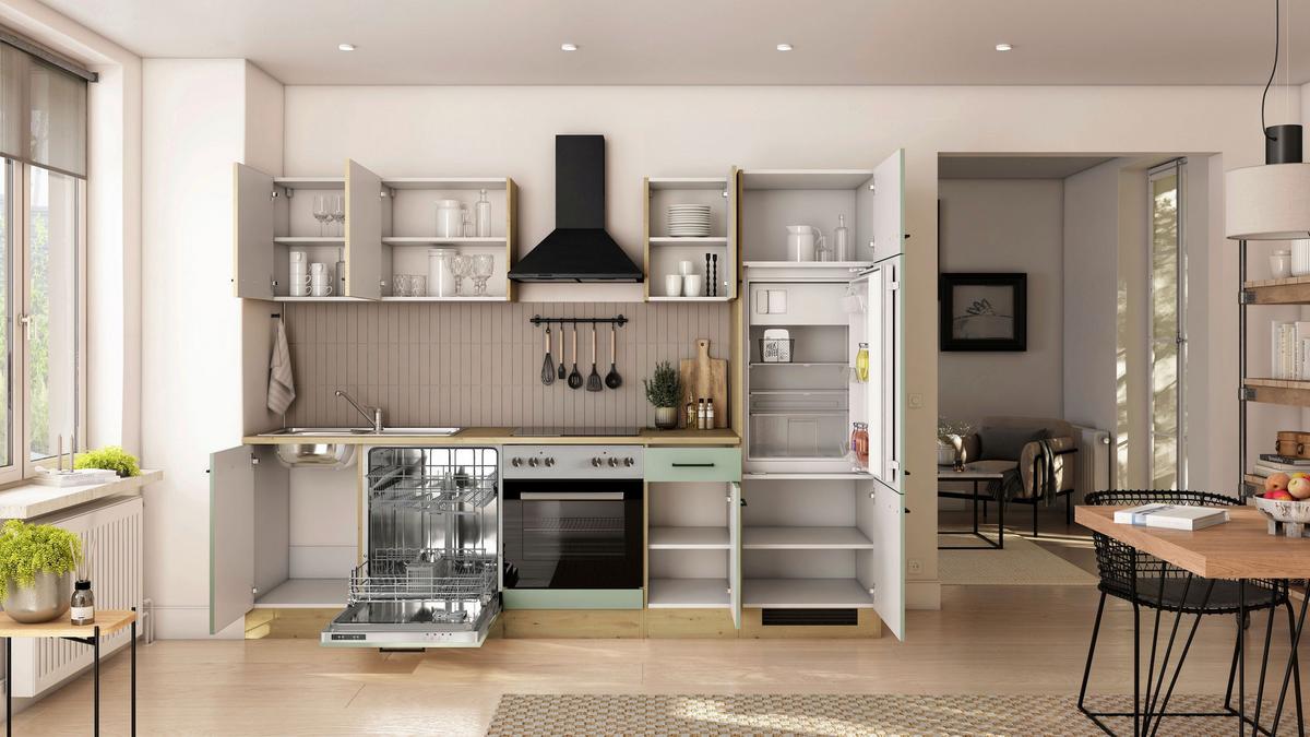 Küchenblock Cara m. Geräten Schilfgrün - Schilfgrün/Schwarz, Trend, Holzwerkstoff/Metall (270cm) - FlexWell